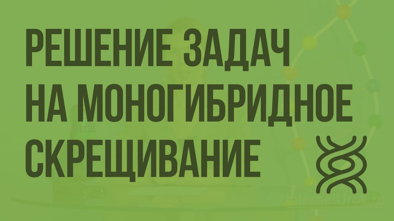 Решение генетических задач на моногибридное скрещивание. Видеоурок по биологии 10 класс