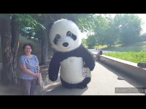 Рязань. 07.06.2023г.