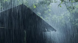 Sleep Instantly Within 3 Minutes with Heavy Rain &amp; Thunder on Ancient House in Foggy Forest at Night