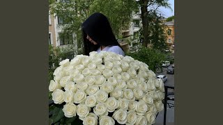 Залежна_Barsik