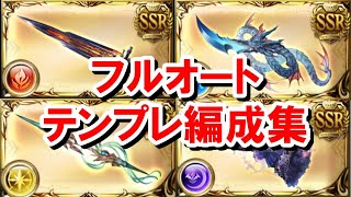Full-auto template team composition for each element using Magna 3 weapons [Slow commentary/Granb...