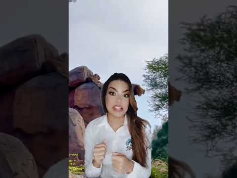 OS ABRIGOS SECRETOS ESCONDIDOS NO PARQUE ANIMAL KINGDOM DA DISNEY