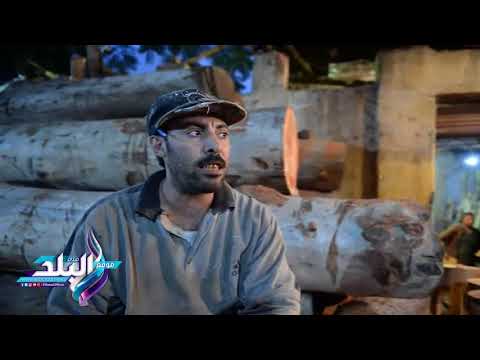 صدى البلد ورش السبتية قصة تحول شجرة ل منزل كلب