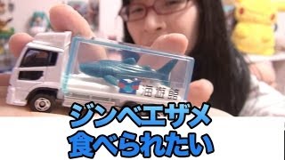 [トミカ] #8 海遊館印のトラック ジンベエザメの口に入ってみたいよね！