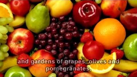 تلاوة مؤثرة للشيخ محمد اللحيدان من سورة الأنعام Muhammad Al-Luhaidan Al-Anam {95-103