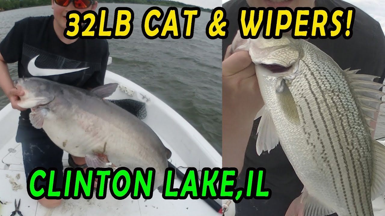 Clinton Lake IL. Hybrids (wipers) and HUGE blue catfish!! YouTube