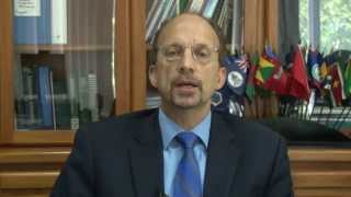 Decriminalization and Legalization of Marijuana