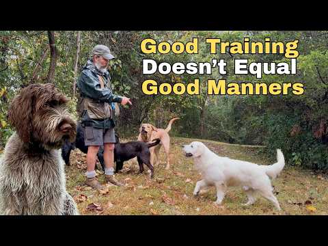 Information Isn’t Knowledge: Why Your Puppy Still Misbehaves