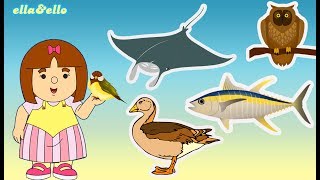 Mengenal Hewan dan Unggas | Puri Animation