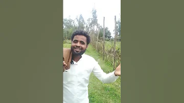 Harka Keetu Irra Deebisa Dabaa 