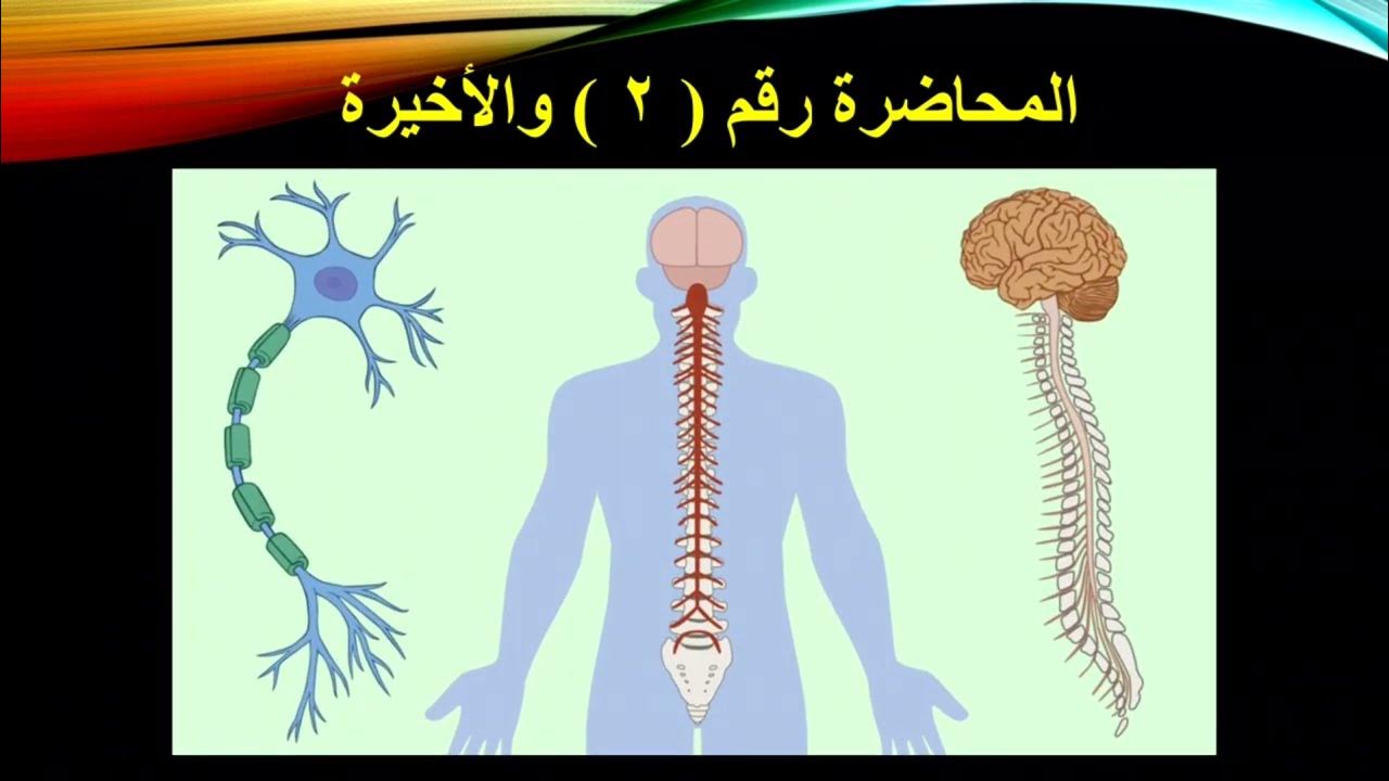 Истина это простыми словами. Физиологические системы организма человека. Работа в crm. Crm-система для управления клиентами. Система что оно означает.
