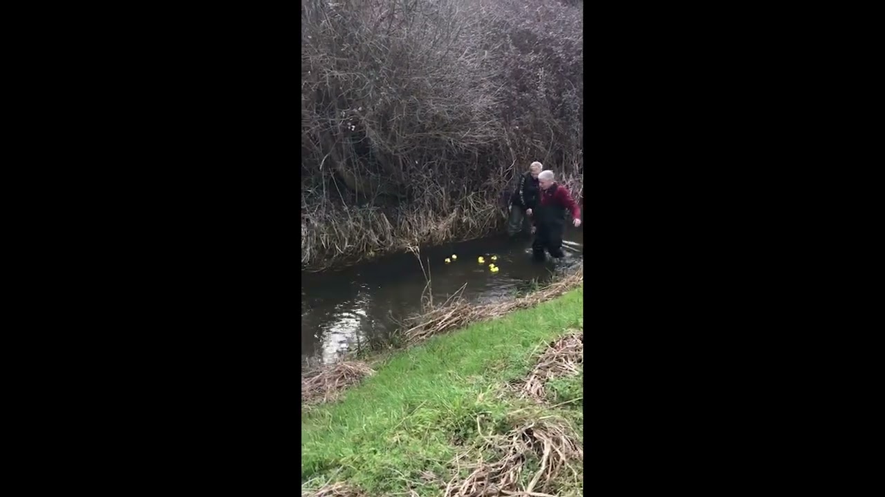 Great Doddington Duck Race 2022