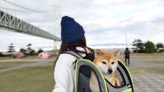 帰省したアラサー女のとある１日