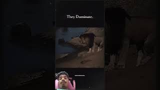 KING'S DOMINATIONW.#scarface #lion#king#motivation#instagram#shortsfeed#ipl2025#viralvideo