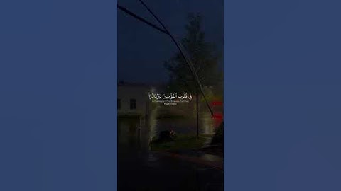 هُوَ الَّذي أَنزَلَ السَّكينَةَ | عبد الرحمن مسعد #تلاوة_خاشعة