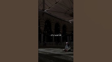 ثلث القران🤍. #سورة_الاخلاص #ماهرالمعيقلي #تلاوة_خاشعة #اجر_لي_ولكم #راحة_نفسية #قران_كريم