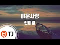 TJ노래방 남자키 미운사랑 진미령 TJ Karaoke