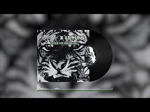 Eye of the Tiger x Brune (Stixr vip Mash up) - Survivor & Stixr