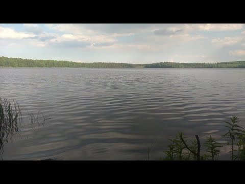 рыбалка в каком районе спб рыбалка в каком районе спб