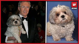Paul O'Grady supported by fans as he shares heartfelt tribute to iconic pet Buster