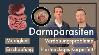 Darmparasiten Sympthome Folgen Diagnostik Gegen Protozoen