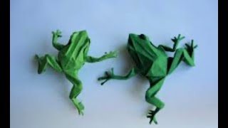 The Frog