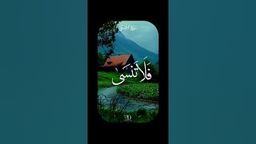 سورة ( الأعلى ) ❤️❤️