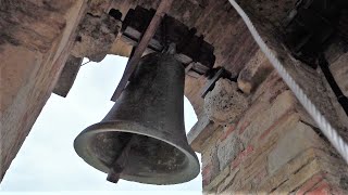 Campane della Pieve di Cellole (SI)