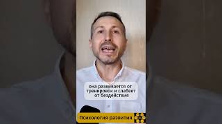 Почему одни люди становятся мудрее а другие циничнее?