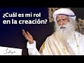 Si mañana te evaporas: ¡no hay problema! | Sadhguru