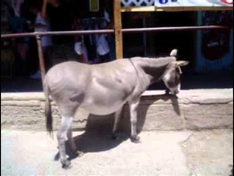 www.youtube.com
