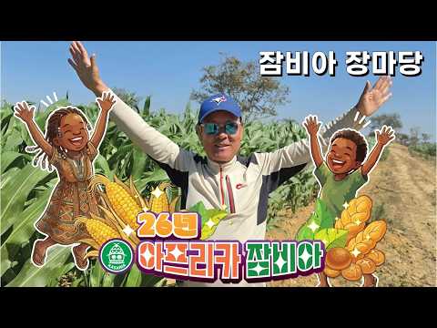 26/08/26 잠비아 선교 원정대 3기 - 잠비아 장마당