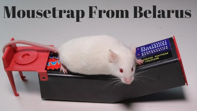 D-con Mouse Trap Returned FAILED Review 