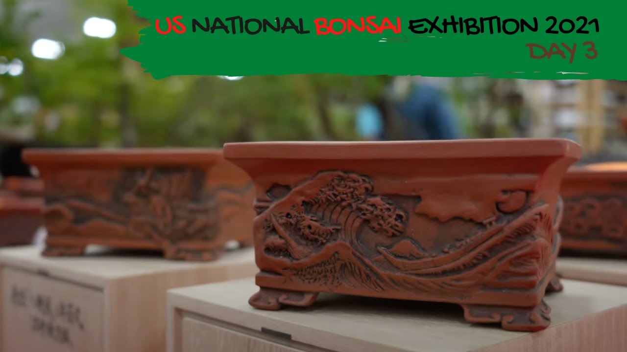 7th US NATIONAL BONSAI EXHIBITION 2021 DAY 3/4 USNATIONBONSAI YouTube