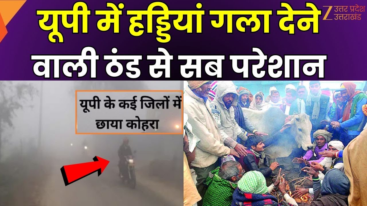 UP Weather Update : यूपी में हड्डियां गला देने वाली ठंड से सब परेशान | Cold Wave | UP Weather News