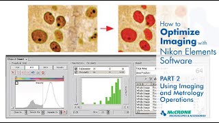 Famous How to Optimize Imaging with Nikon Elements Software, Part 2: Using Imaging and Metrology Operations Wealth