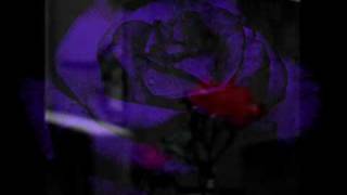 Video thumbnail of "Kiss by a Rose- Rock Version"