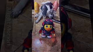 Download Lagu || Mimi susu || #pokyyoeditz #edit #muderdrones #glitchproductions #capcut #2025 MP3 Download Lagu || Mimi susu || #pokyyoeditz #edit #muderdrones #glitchproductions #capcut #2025 MP3