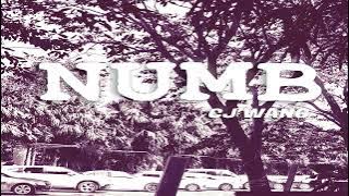 NUMB - CJ WANG