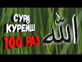 Сура Курейш 100 раз чтец Мишари Рашид