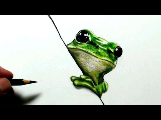 色鉛筆でカエルを描いたアマガエル編 Realistic Colored Pencil Drawing Of A Frog Youtube