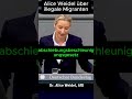 Alice Weidel spricht &uuml;ber il|egale Migranten #afd #weidel #politik