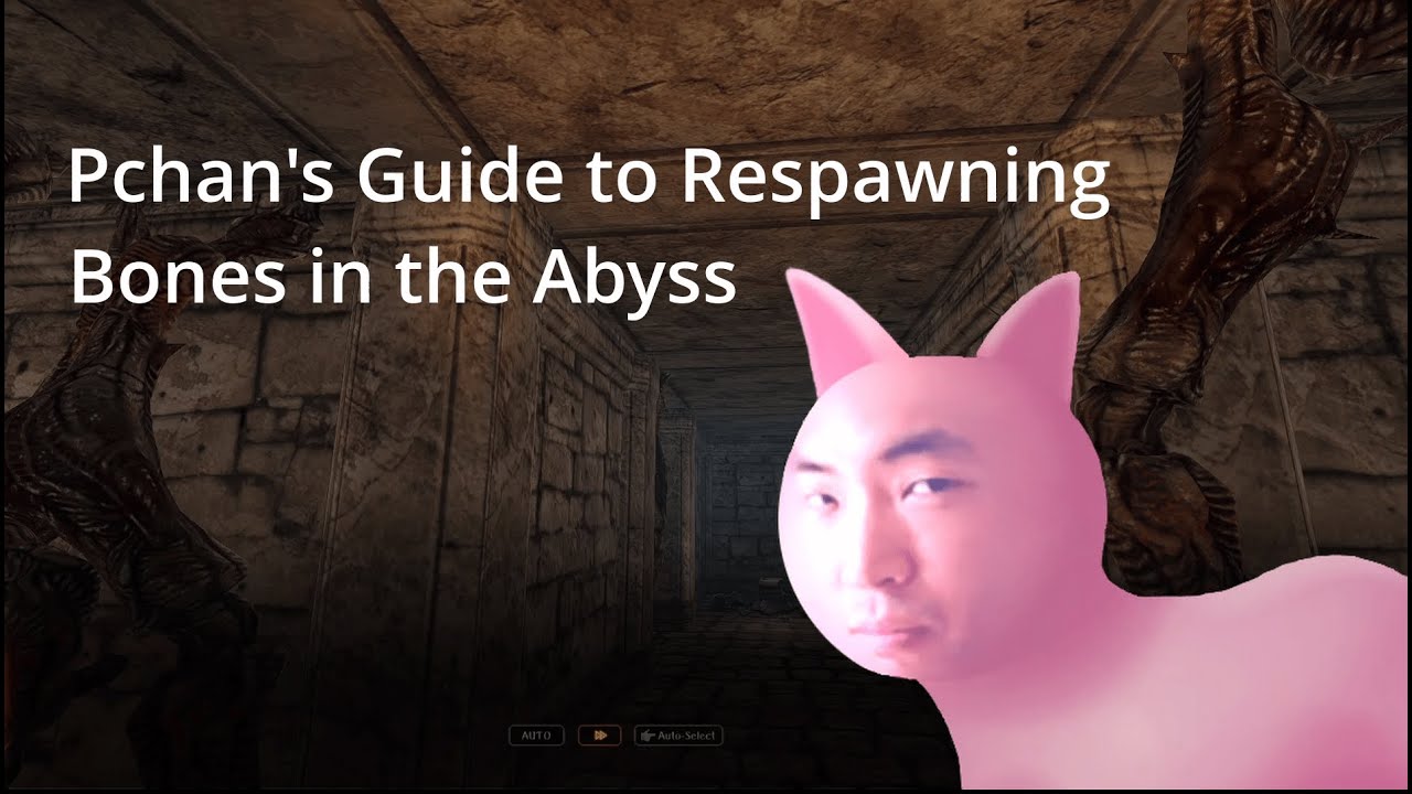 Pchan's Guide to Respawning Bones | Wizardry Variants Daphne