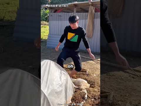 Kafama Perde Mi Geldi 😂