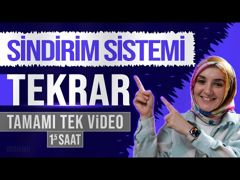 5) Sindirim Sistemi FULL TEKRAR | 11. Sınıf Biyoloji | AYT Biyoloji Konu Anlatımı 5