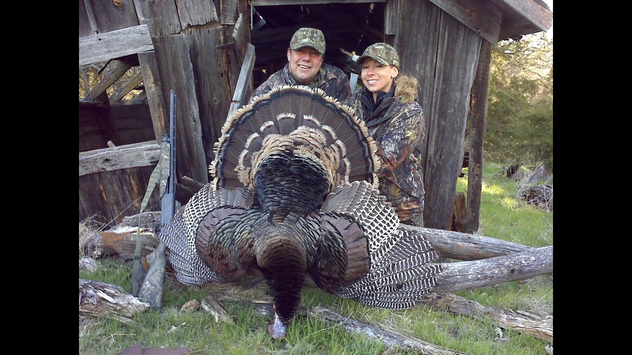 2011 Nebraska Spring Turkey Hunting with Whiteoak Outfitters. YouTube