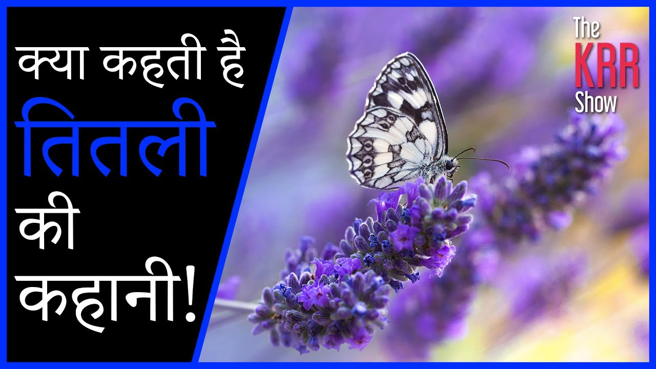 The Story Of A Butterfly HINDI MOTIVATION 2020 YouTube