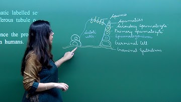 CBSE 11&12th Biology | Five Golden Questions | Exam Pattern Exercise | in English | Misostudy