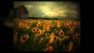 Flickr - The Best of 2009