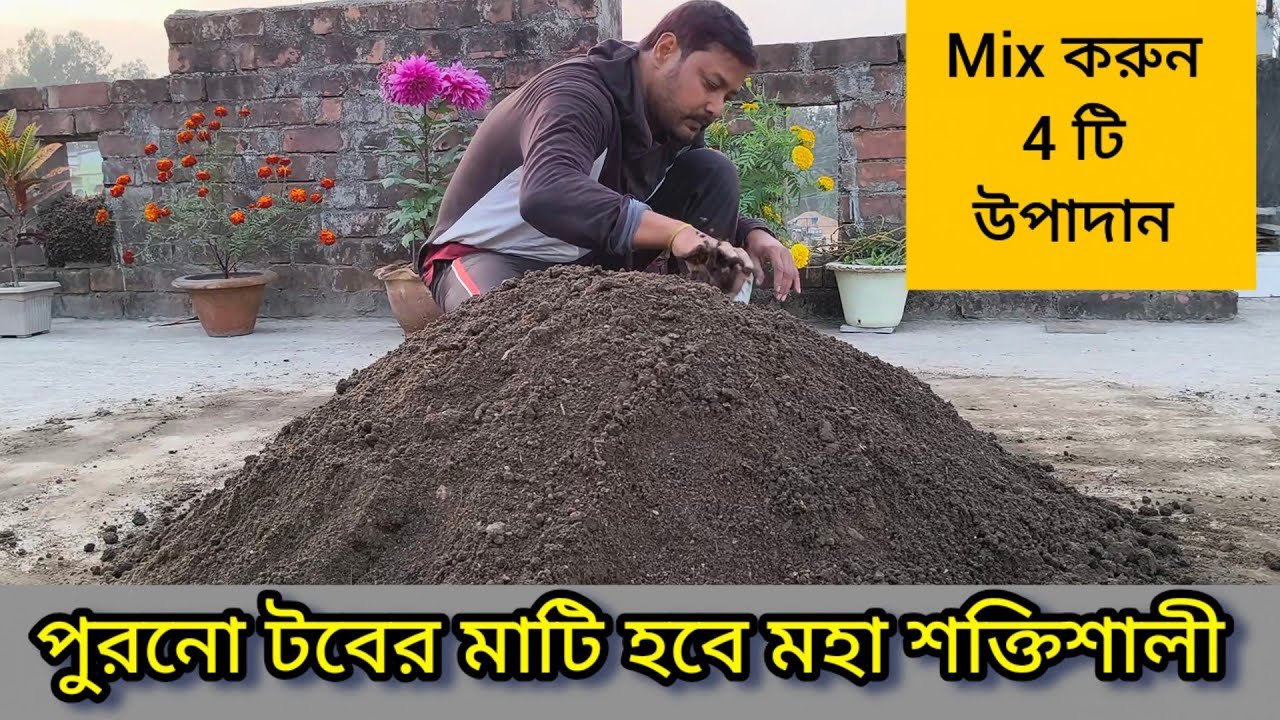 Как сделать старую почву для горшечных растений очень прочной. #Barun
